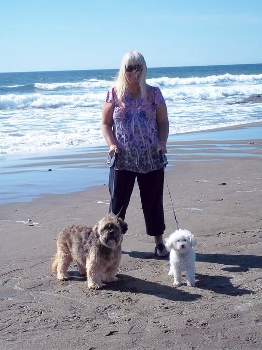 Lori walking two dogs on the beach.